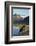 Brown Bear, Katmai National Park, Alaska-null-Framed Photographic Print