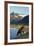 Brown Bear, Katmai National Park, Alaska-null-Framed Photographic Print