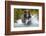 Brown Bear, Katmai National Park, Alaska-Paul Souders-Framed Photographic Print