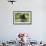 Brown Bear, Katmai National Park, Alaska-Paul Souders-Framed Photographic Print displayed on a wall