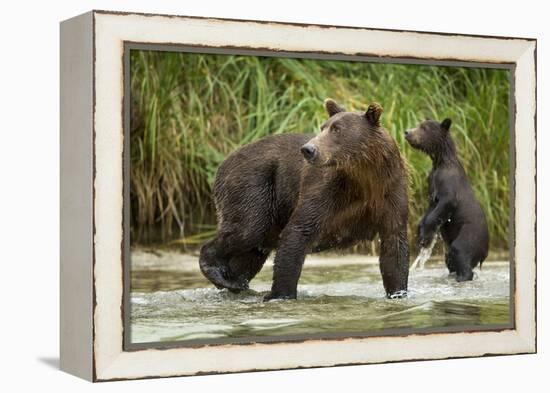 Brown Bear Mother and Cub, Katmai National Park, Alaska-Paul Souders-Framed Premier Image Canvas