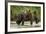 Brown Bear Mother and Cub, Katmai National Park, Alaska-Paul Souders-Framed Photographic Print