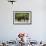 Brown Bear Mother and Cub, Katmai National Park, Alaska-Paul Souders-Framed Photographic Print displayed on a wall