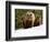 Brown Bear Mother with Cubs, Valley of the Geysers, Kronotsky Zapovednik, Russia-Igor Shpilenok-Framed Photographic Print