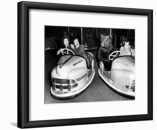 Brown Bear of Bertram Mills Circus in Bumper Cars Dodgems December 15, 1954-null-Framed Photo