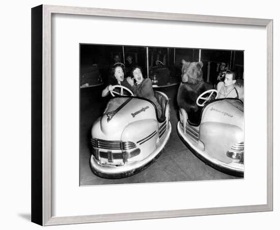 Brown Bear of Bertram Mills Circus in Bumper Cars Dodgems December 15, 1954-null-Framed Photo