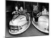 Brown Bear of Bertram Mills Circus in Bumper Cars Dodgems December 15, 1954-null-Mounted Photo