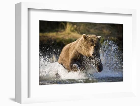 Brown Bear Running Through River at Kinak Bay-Paul Souders-Framed Photographic Print