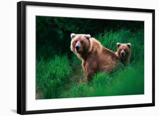Photographic Print, , large
