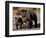 Brown Bear Sow with Cubs Looking for Fish, Katmai National Park, Alaskan Peninsula, USA-Steve Kazlowski-Framed Photographic Print