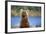 Brown Bear Standing Erect in Katmai National Park-Paul Souders-Framed Photographic Print