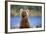 Brown Bear Standing Erect in Katmai National Park-Paul Souders-Framed Photographic Print