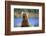 Brown Bear Standing Erect in Katmai National Park-Paul Souders-Framed Photographic Print