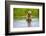 Brown Bear standing on Brooks River, Katmai National Park, Alaska, USA-Keren Su-Framed Photographic Print