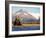 Brown Bear Stretching, Katmai National Park, Alaska, USA-Steve Kazlowski-Framed Photographic Print