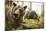 Brown Bear (Ursus Arctos), Finland, Scandinavia, Europe-Janette Hill-Mounted Photographic Print