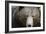 Brown Bear (Ursus Arctos), Finland, Scandinavia, Europe-Janette Hill-Framed Photographic Print