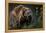 Brown-Bear, Ursus Arctos, Fur, Wet, Shakes-Ronald Wittek-Framed Premier Image Canvas