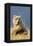 Brown Bear-Howard Ruby-Framed Premier Image Canvas