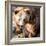 Brown Bear-l i g h t p o e t-Framed Photographic Print