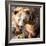 Brown Bear-l i g h t p o e t-Framed Photographic Print