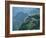 Brown Bear-null-Framed Photographic Print