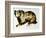 Brown Bear-Sydney Edmunds-Framed Giclee Print