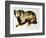 Brown Bear-Sydney Edmunds-Framed Giclee Print