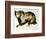 Brown Bear-Sydney Edmunds-Framed Giclee Print