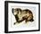 Brown Bear-Sydney Edmunds-Framed Giclee Print