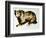 Brown Bear-Sydney Edmunds-Framed Giclee Print