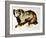 Brown Bear-Sydney Edmunds-Framed Giclee Print