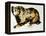 Brown Bear-Sydney Edmunds-Framed Premier Image Canvas