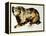 Brown Bear-Sydney Edmunds-Framed Premier Image Canvas