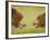 Brown Bears Facing Off at Hallo Bay-Paul Souders-Framed Photographic Print