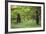 Brown Bears Standing on Baranof Island-null-Framed Photographic Print