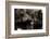 Brown Bears, Ursus Arctos, Fight, Detail Series, Animals-Ronald Wittek-Framed Photographic Print