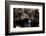 Brown Bears, Ursus Arctos, Fight, Detail Series, Animals-Ronald Wittek-Framed Photographic Print