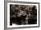 Brown Bears, Ursus Arctos, Fight, Detail Series, Animals-Ronald Wittek-Framed Photographic Print