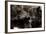 Brown Bears, Ursus Arctos, Fight, Detail Series, Animals-Ronald Wittek-Framed Photographic Print