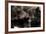 Brown Bears, Ursus Arctos, Fight, Detail Series, Animals-Ronald Wittek-Framed Photographic Print