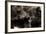 Brown Bears, Ursus Arctos, Fight, Detail Series, Animals-Ronald Wittek-Framed Photographic Print