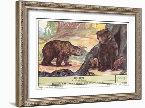 Brown Bears-null-Framed Art Print