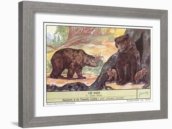 Brown Bears-null-Framed Art Print