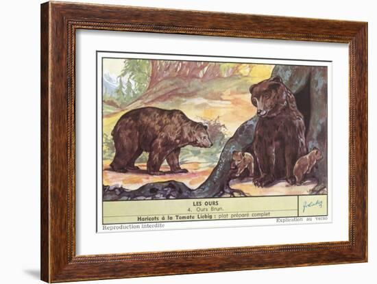 Brown Bears-null-Framed Art Print