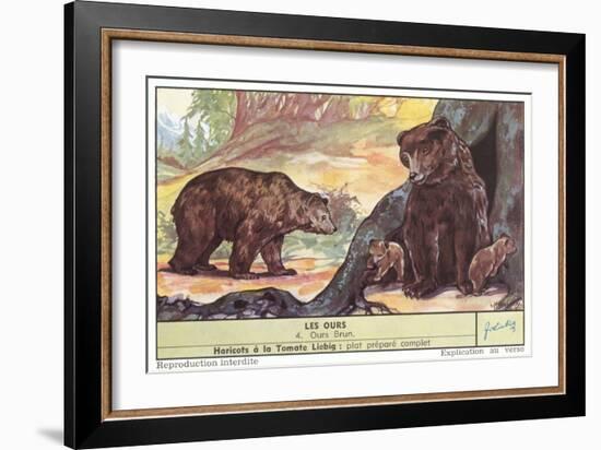 Brown Bears-null-Framed Art Print