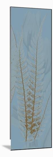 Brown Blue Fern-Albert Koetsier-Mounted Art Print