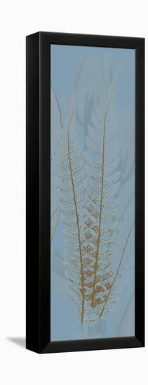 Brown Blue Fern-Albert Koetsier-Framed Stretched Canvas