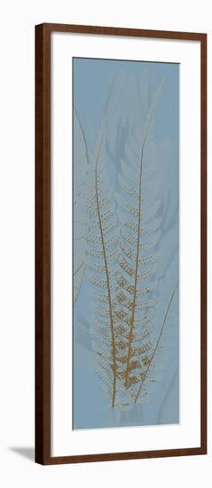 Brown Blue Fern-Albert Koetsier-Framed Premium Giclee Print