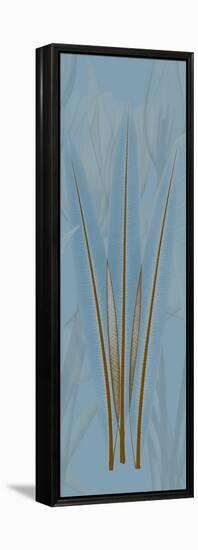 Brown Blue Palm-Albert Koetsier-Framed Stretched Canvas